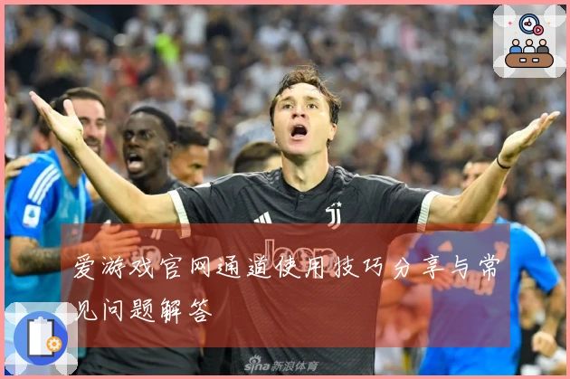 爱游戏官网通道使用技巧分享与常见问题解答