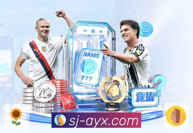 辅助保障 - 稳定访问